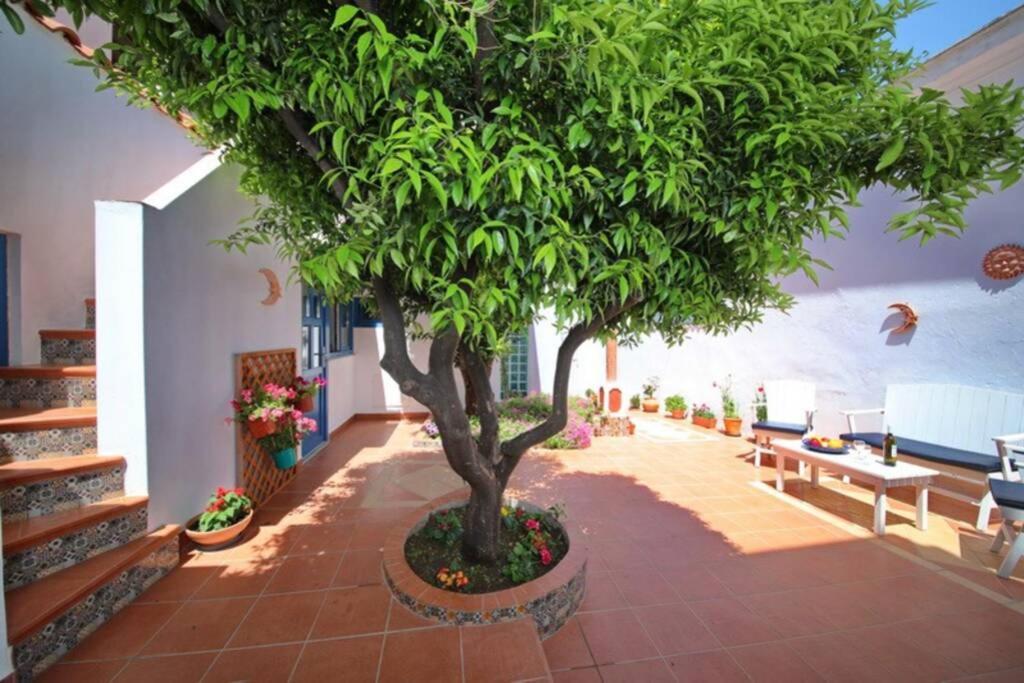 Philoxenia Guest House Skopelos Exteriér fotografie