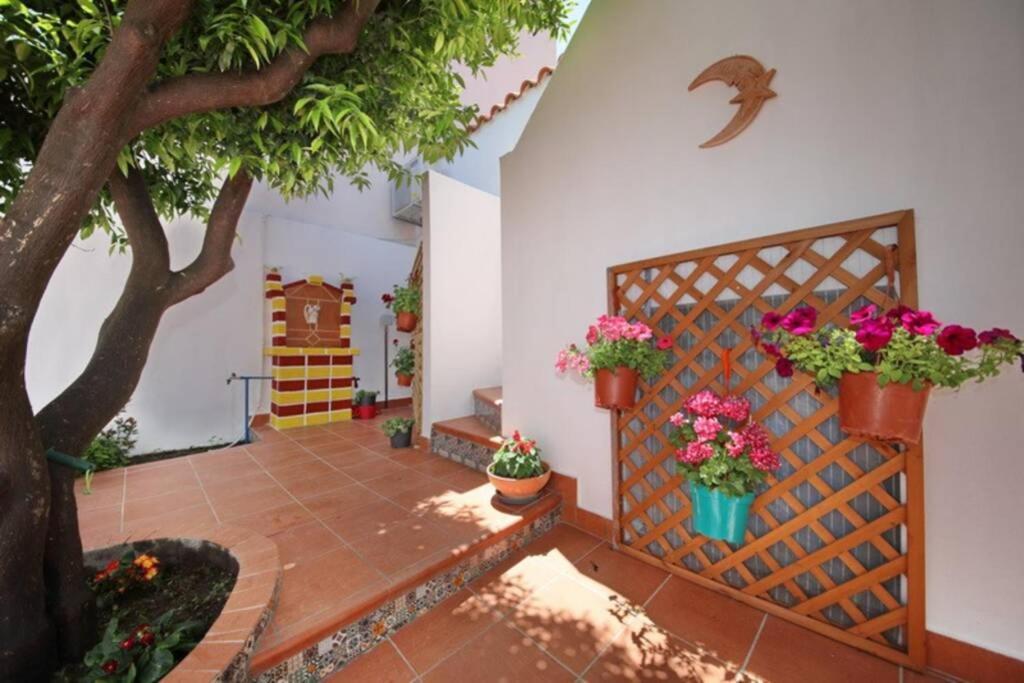Philoxenia Guest House Skopelos Exteriér fotografie